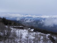 DSCN0295  and was soon all alone at tree line