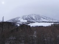 DSCN0297  Some kind of avalanche barrier at tree line