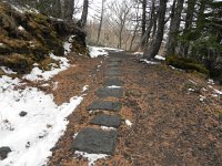 DSCN0298  Sometimes the path was clear but mostly it was snowy.