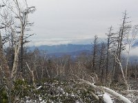 DSCN0306  Evidence of avalanches