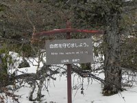 DSCN0309  the nature