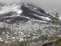 DSCN0314  Tree line ruin