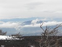 DSCN0315  Eroded hemlock at tree line