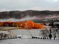 DSCN0036  Some late autumn color caught by the rising sun