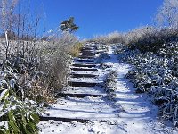 DSCN0046  We started up a trail toward the highest peak in the area, Mt. Azumaya, 2300 m