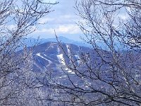 DSCN0056  Looking back to Pine Beak Mtn
