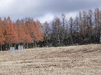 DSCN0062  A very instrumented field at the Sudagaira Lab