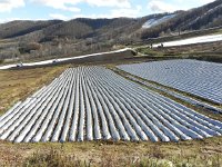 DSCN0065  Cabbage fields on the lower slopes of Pine Beak Mtn.
