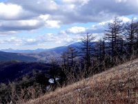DSCN0071  Volcano and larches