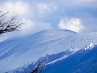 DSCN0077  The patterns on the cone