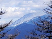 DSCN0079  Slopes and branches