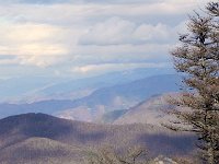 DSCN0080  The forest to the NE