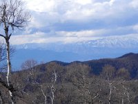DSCN0082  Birches and ridges