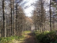 DSCN0084  I followed the ridge to the next summit, also a ski area