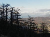 DSCN0089  Silhouettes