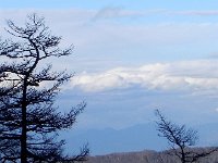 DSCN0090  In the shade