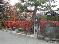 DSCN0185  Pocket park along the river