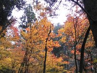 DSCN0198  like in New England