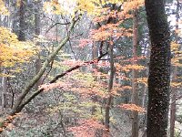 DSCN0199  which is not surprising