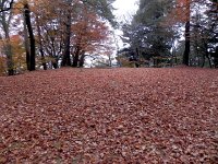 DSCN0200  Where the castle was