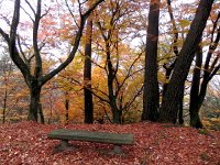 DSCN0202  One can comtemplate