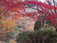 DSCN0210  that I couldn&#39;t leave