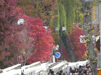 DSCN0220  a morning market