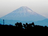 DSCN0274  in its singularity