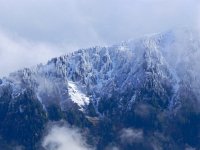 DSCN9944  Frosted forest