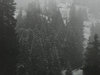 DSCN9947  We arrived at snowline then turned around