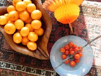 DSCN0394  Still life with turkey tail