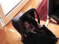 DSCN0421  Little Thibault seems left out