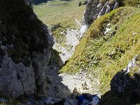 DSCN9856  Looking down the gully we came up