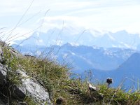 DSCN9885  focal length