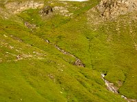 DSC05941-2  The lower slopes above the lake