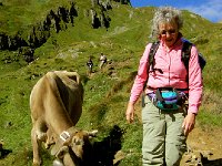 IMG 4938-2  They were very used to people