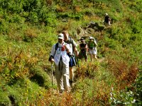 IMG 4940-2  More verdant here