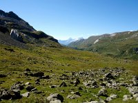 20130903-0168-2  stared down Binntal