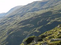 DSCN9291  The next day&#39;s Plan B runs across the photo