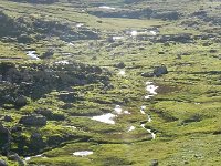 DSCN9294  Wetlands below the hut which