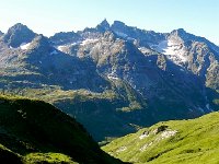 DSCN9313-2  climb up through cows