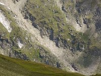 DSCN9331-2  All that wool keeps you warm!