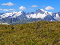 DSCN9337-2  with great views of the Aletschhorn