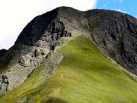 DSCN9341-2  Probably T5!