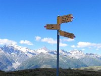 DSCN9347-2  Wanderweg and Finsteraarhorn in the distance
