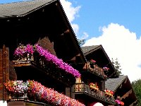 DSCN9348-2  the obligatory window boxes