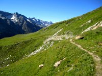 IMG 4992-2  We follow it along the hillside to Schinerevyssi