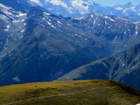 IMG 4999-2  Sheep cooling their jets