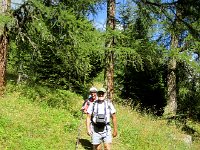 IMG 5005-2  down into the woods