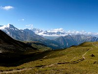 20130905-0276-2  to get to the other side